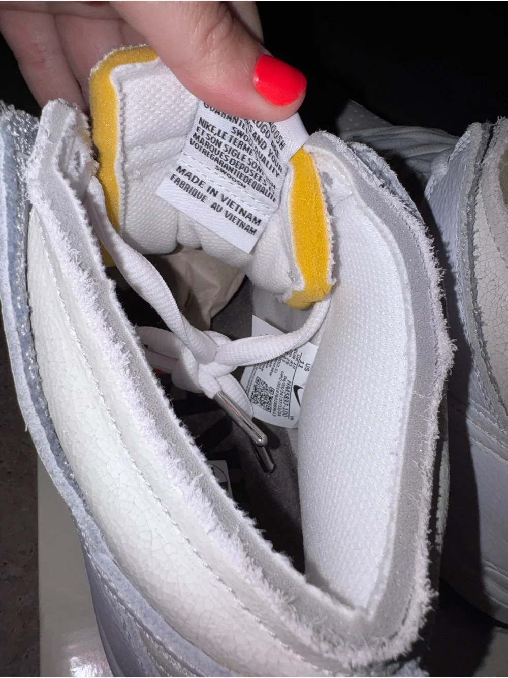 Nike SB Dunk High QS x Antihero